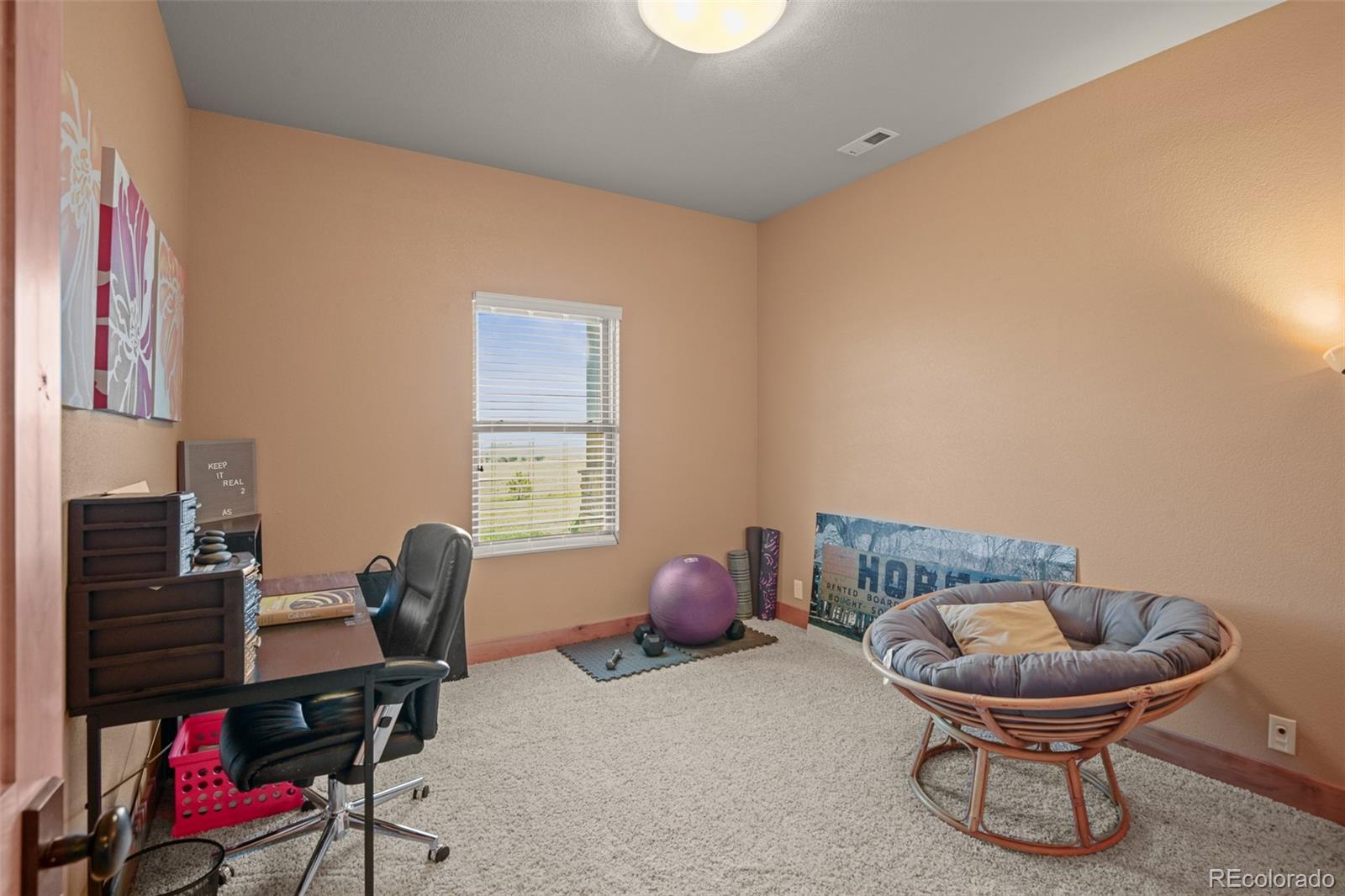 22350 Roxie Ridge View Peyton, CO 80831 - Photo 38 of 48