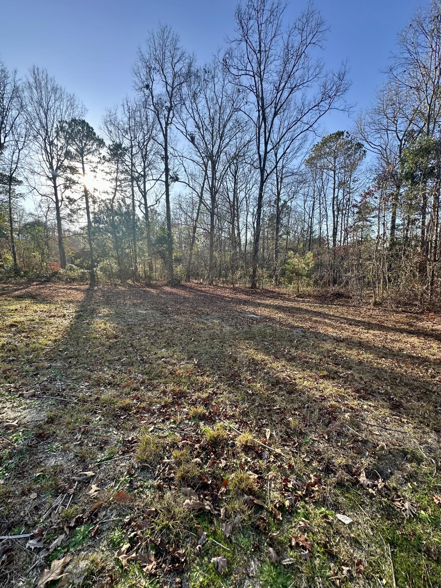 1312 Lewie Road Gilbert, SC 29054 - Photo 37 of 40