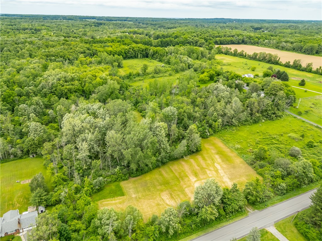894 Ladue Road Sweden, NY 14420 - Photo 10 of 15