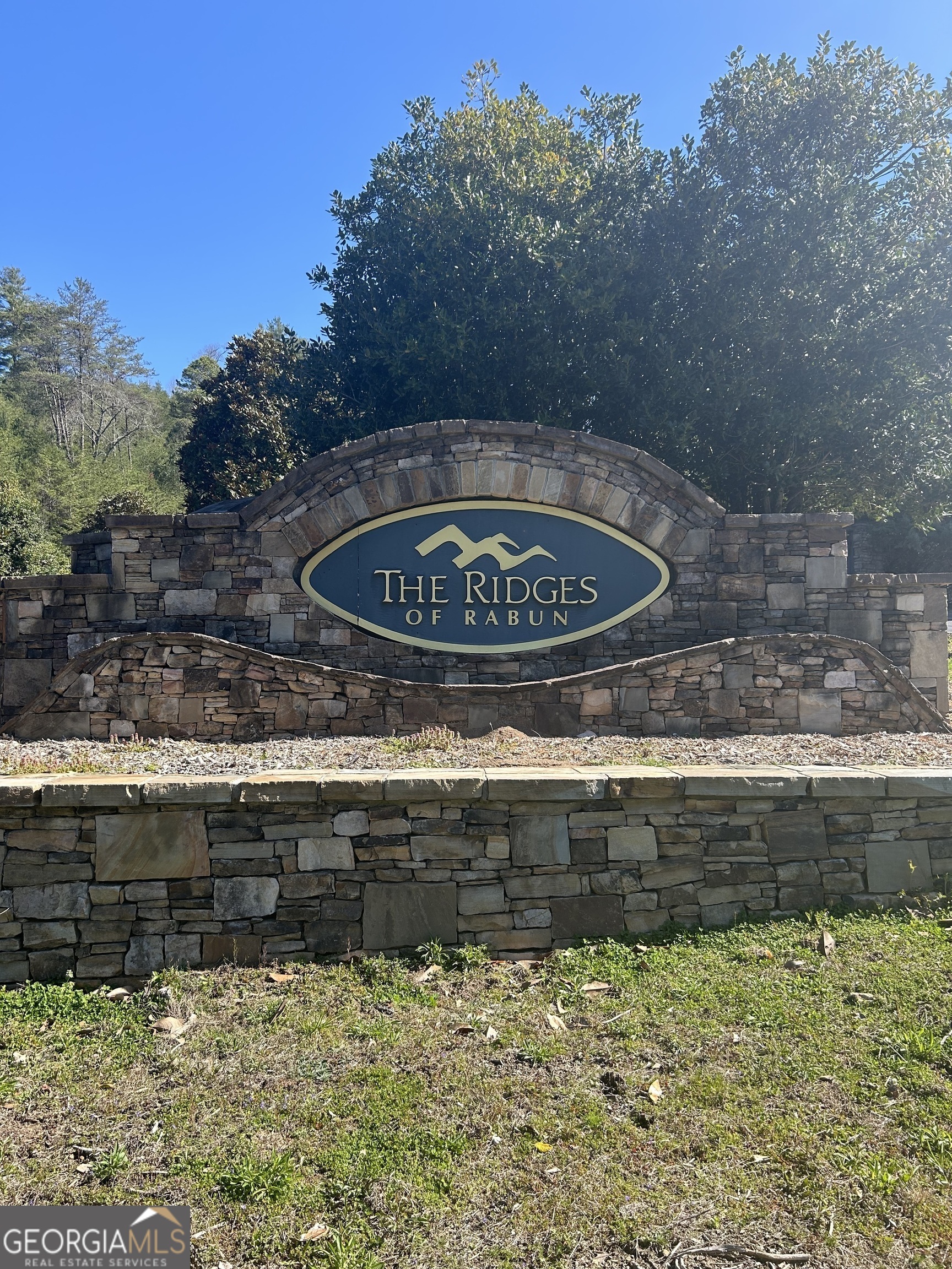 Lot 22 Shake Hollow Drive Rabun Gap, GA 30568 - Photo 2 of 7