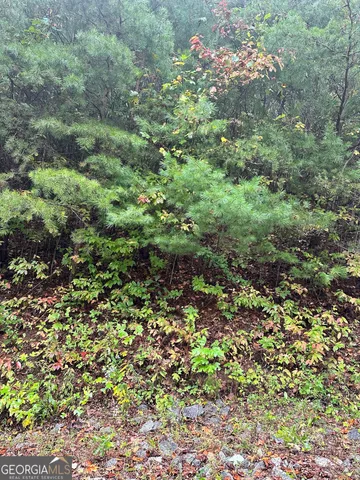$13,000 | Lot 22 Shake Hollow Drive, Rabun Gap, GA 30568