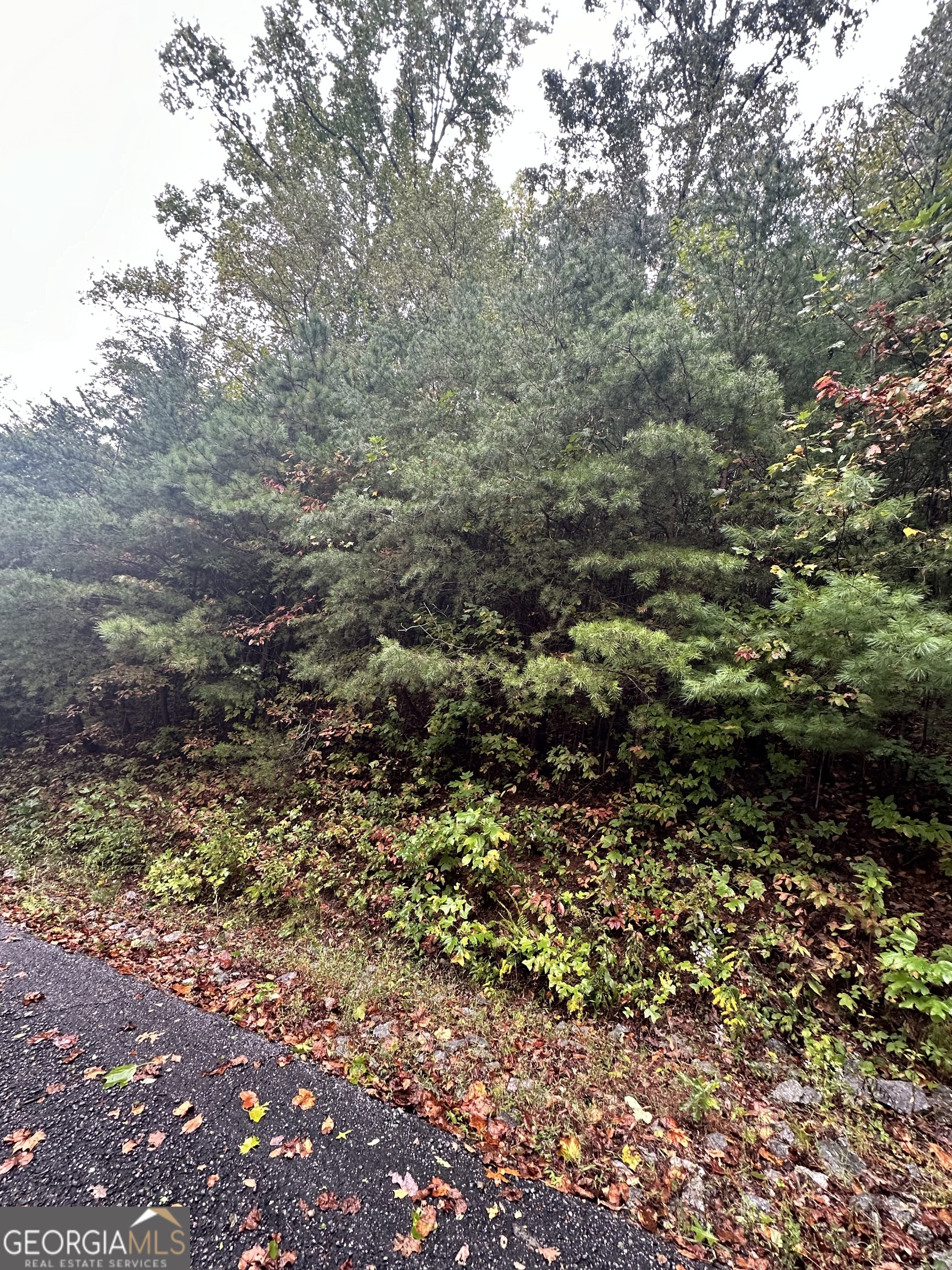 Lot 22 Shake Hollow Drive Rabun Gap, GA 30568 - Photo 4 of 7