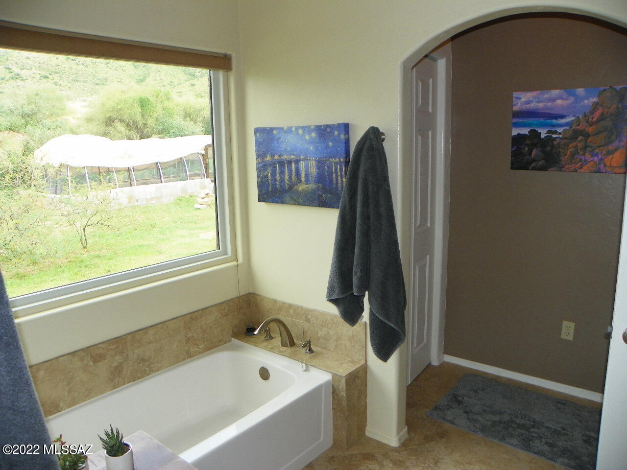 1414 Vía San Cayetano Rio Rico, AZ 85648 - Photo 23 of 50