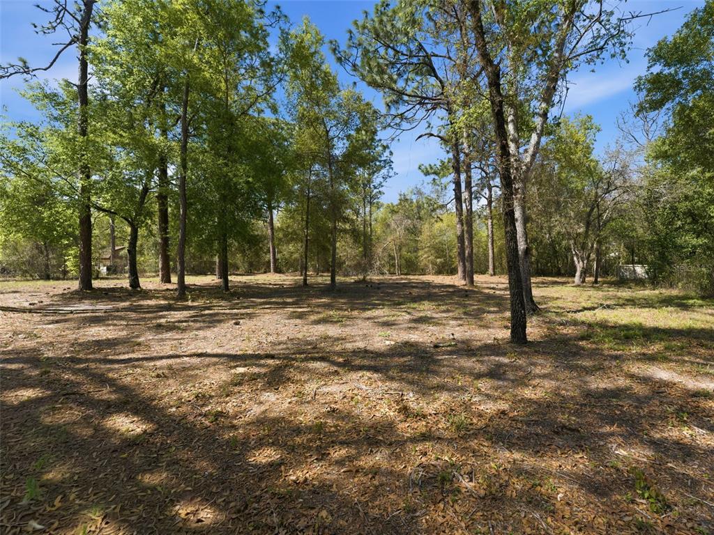 4025 Spring Park Way Brooksville, FL 34604 - Photo 95 of 97 a view of road with trees