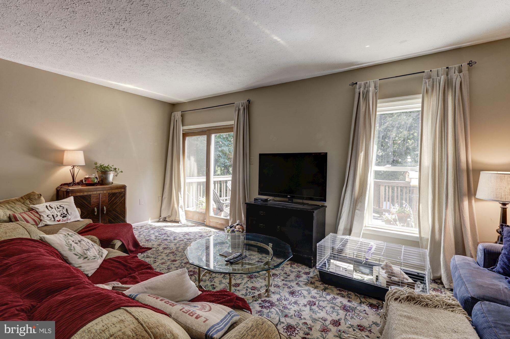 7365 Stream Way Springfield, VA 22152 - Photo 5 of 42 Natural light abounds