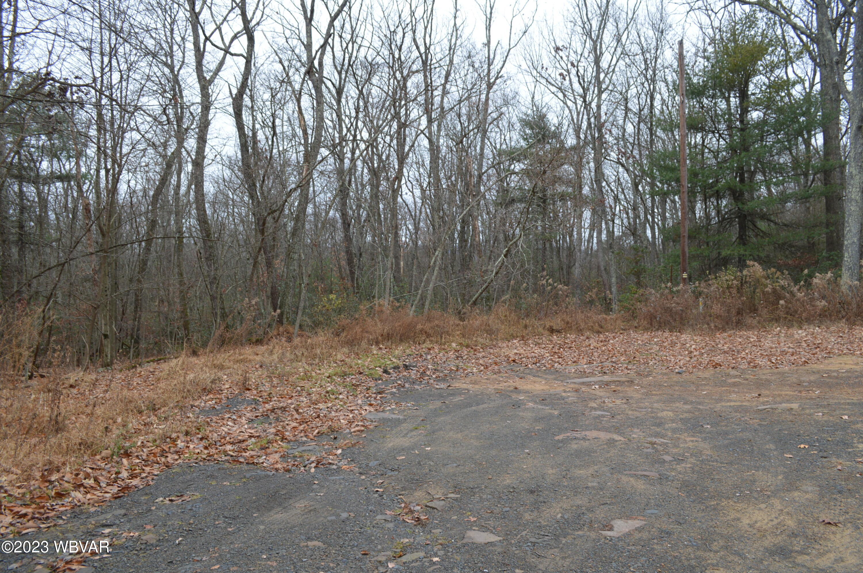 Hunters Knoll Lane Loganton, PA 17747 - Photo 5 of 5 Gallery Image 5