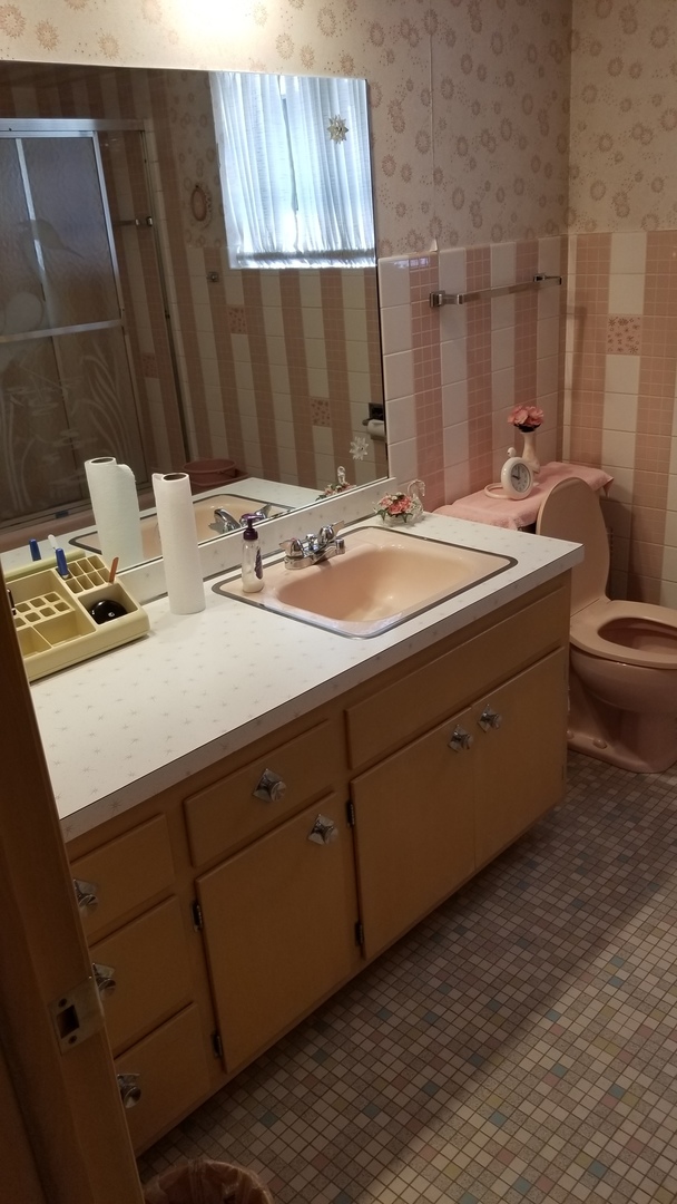4500 Plainfield Avenue Norridge, IL 60706 - Photo 17 of 29 a bathroom with a sink and a mirror
