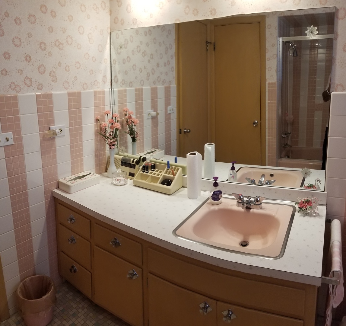 4500 Plainfield Avenue Norridge, IL 60706 - Photo 20 of 29 a bathroom with a sink and a mirror