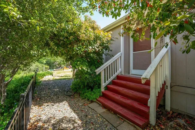 a view of a yard with plants and wooden fence