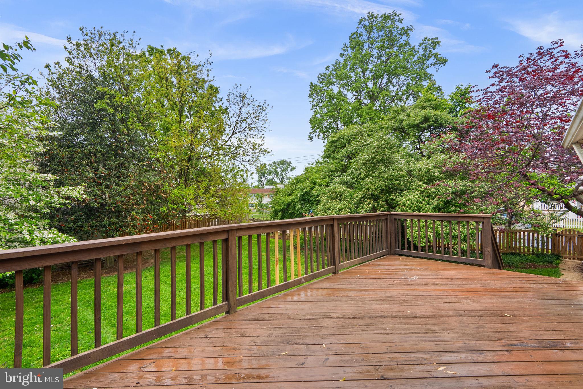 9120 Glenridge Road Silver Spring, MD 20910 - Photo 50 of 59 Patio