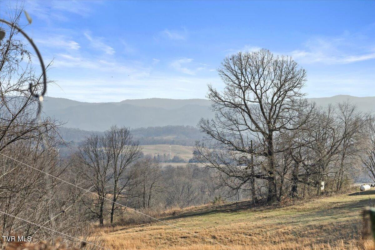 673 Charles Johnson Road Chuckey, TN 37641 - Photo 15 of 70 18-128A9803