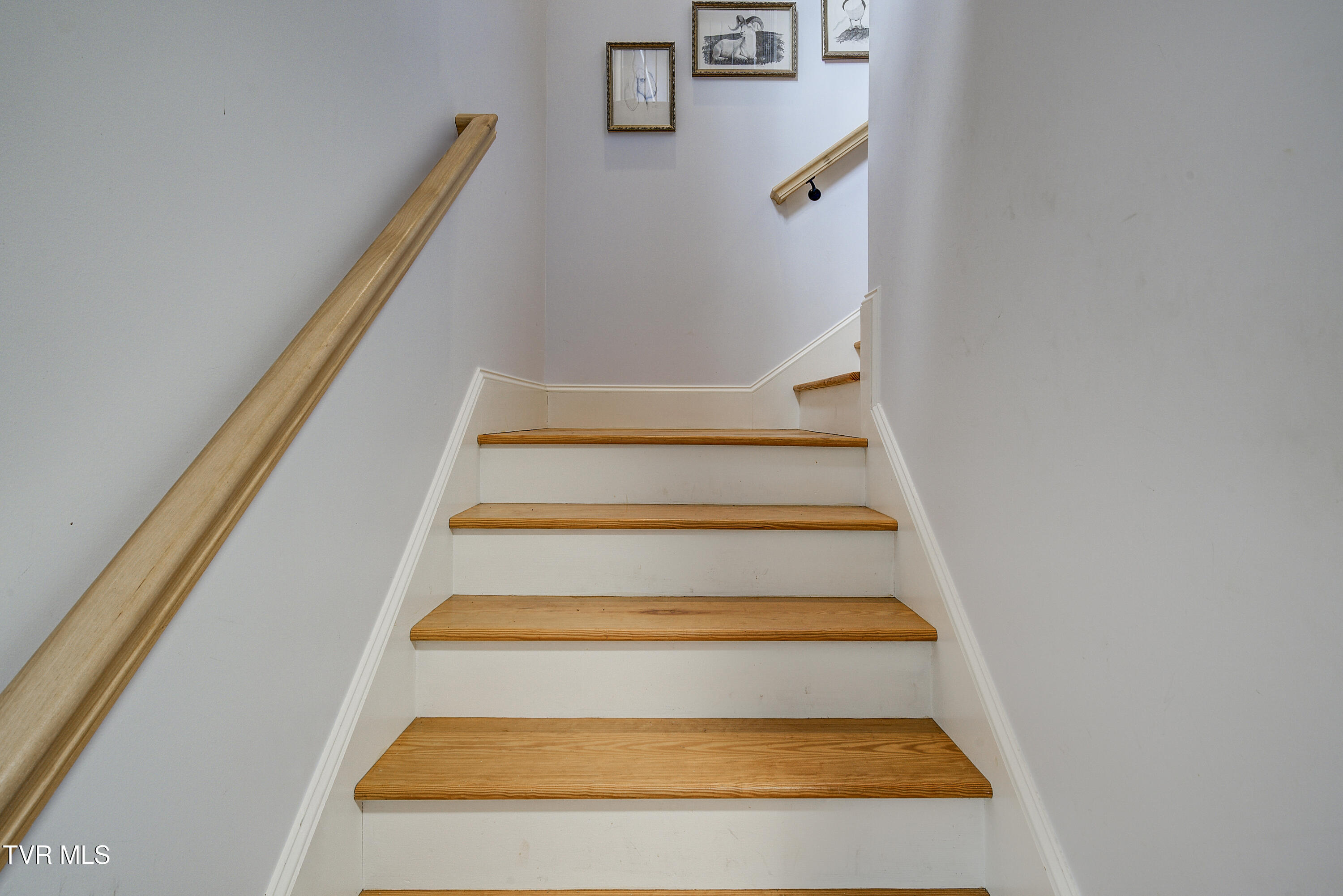 673 Charles Johnson Road Chuckey, TN 37641 - Photo 20 of 63 CharlesJohnson--16