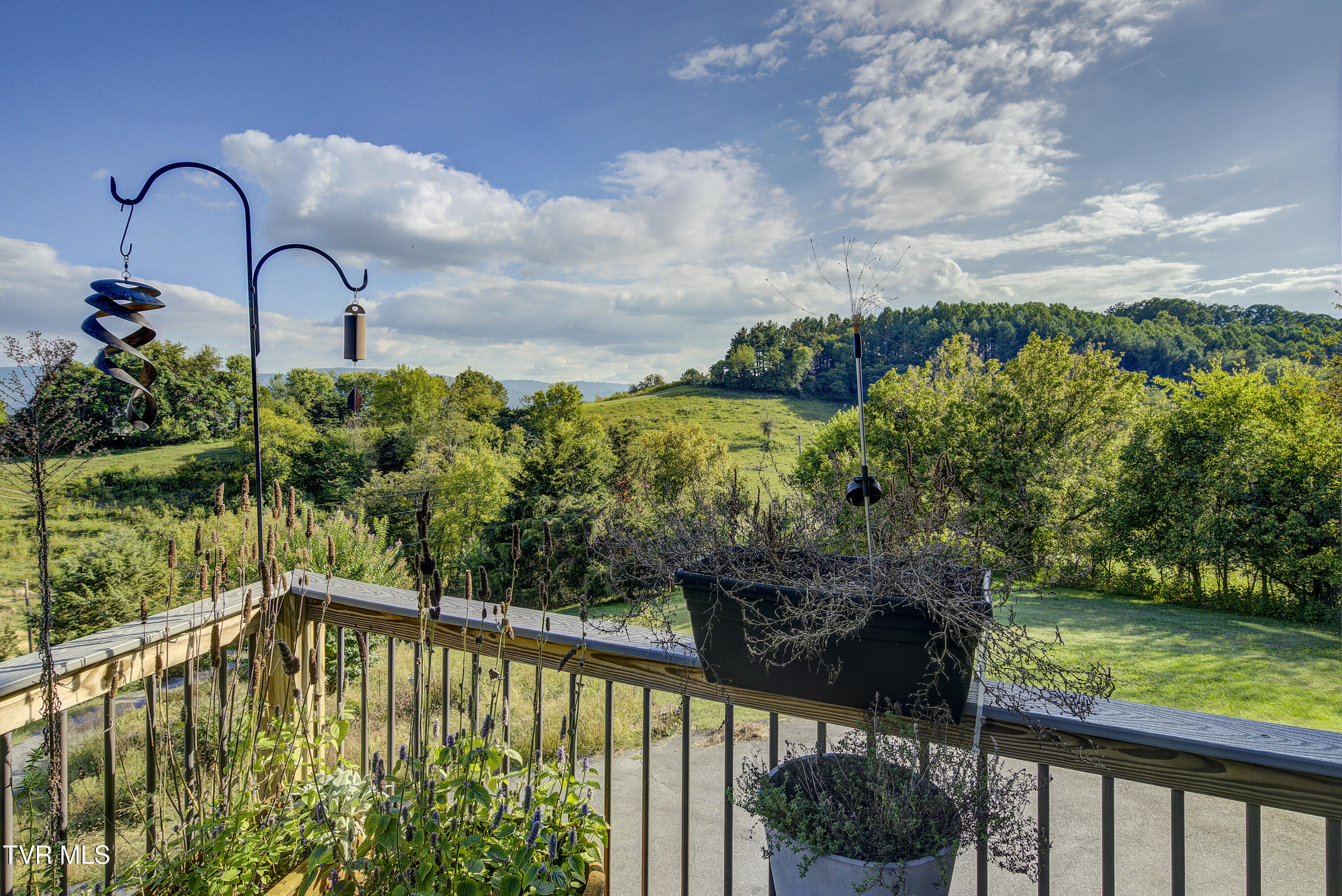 673 Charles Johnson Road Chuckey, TN 37641 - Photo 48 of 63 CharlesJohnson--44