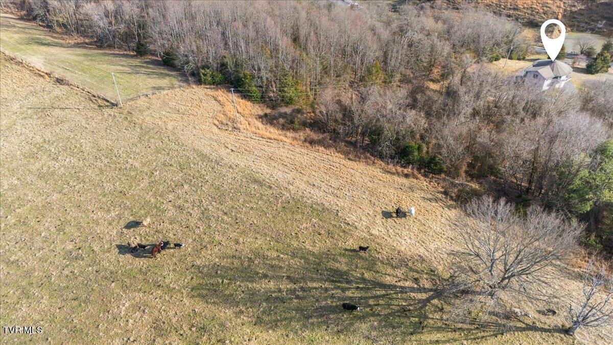 673 Charles Johnson Road Chuckey, TN 37641 - Photo 59 of 70 59-DJI_20260107150411_0095_D