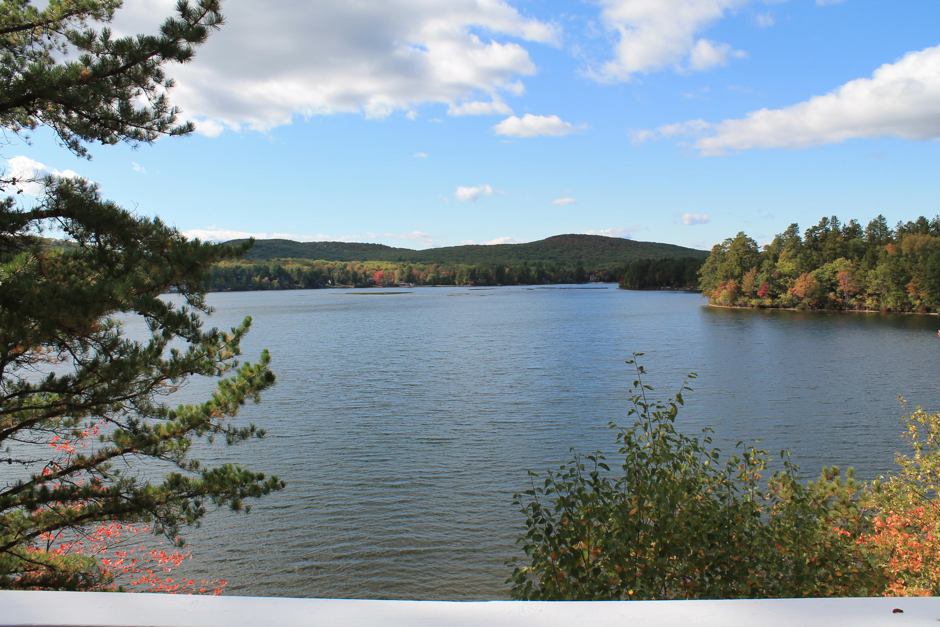 236 Silver Lake Road Shapleigh, ME 04076 - Photo 49 of 51 2019-10-04 14.51.31