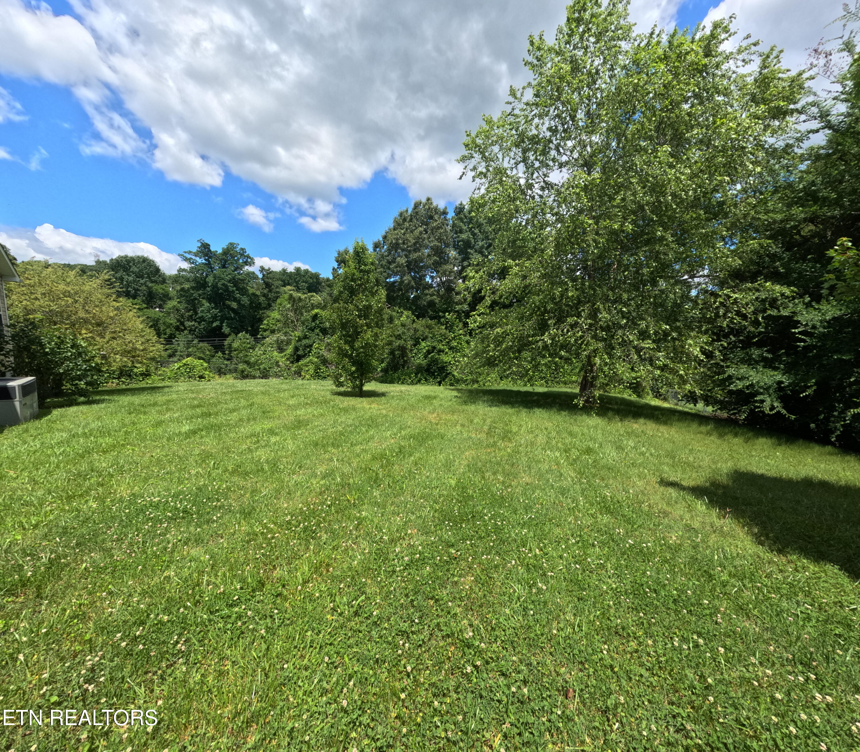 2094 Cecil Johnson Road Knoxville, TN 37921 - Photo 22 of 24 Lawn