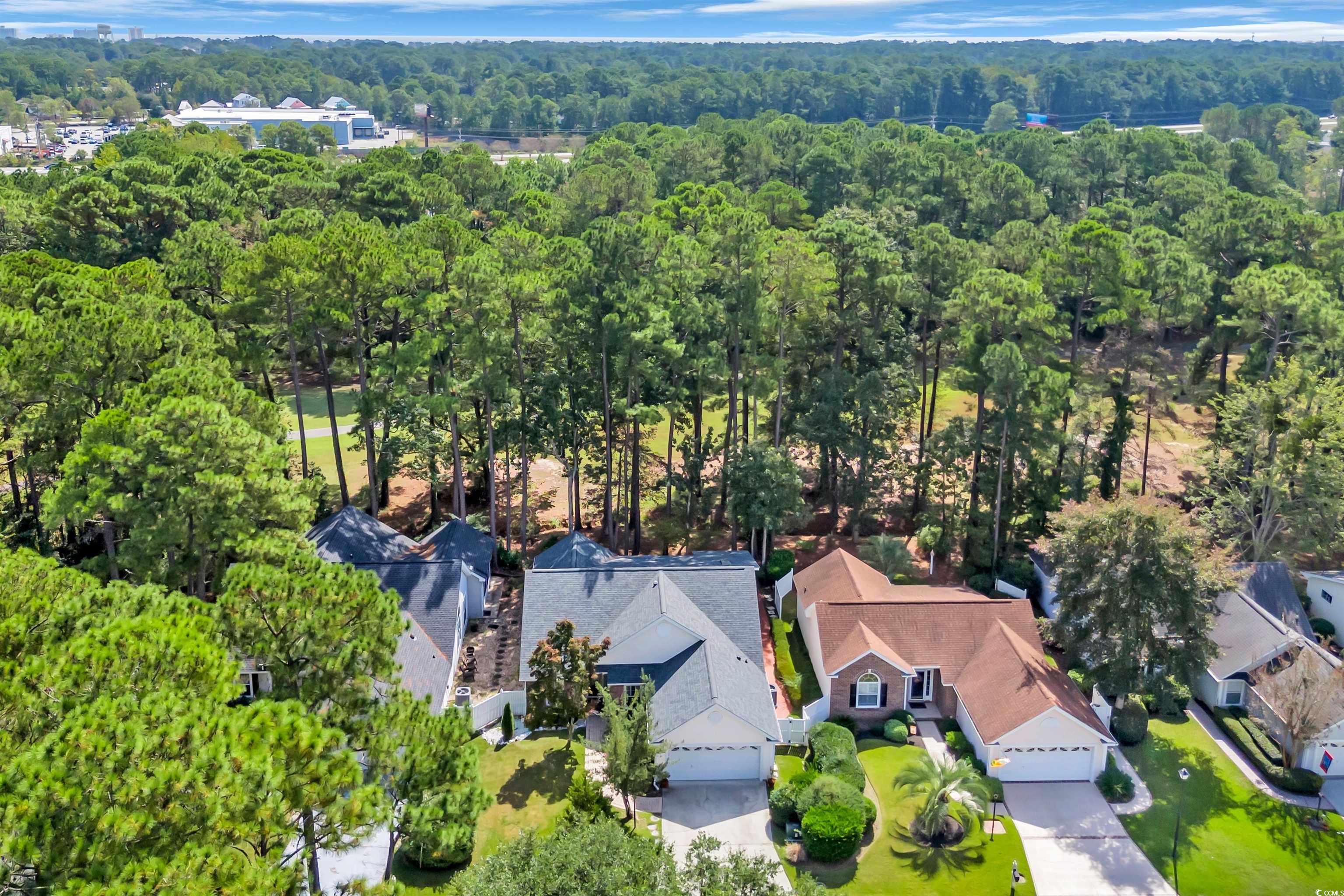 9350 Pinckney Lane Murrells Inlet, SC 29576 - Photo 6 of 40 Aerial view of residential area featuring a heavily wooded area