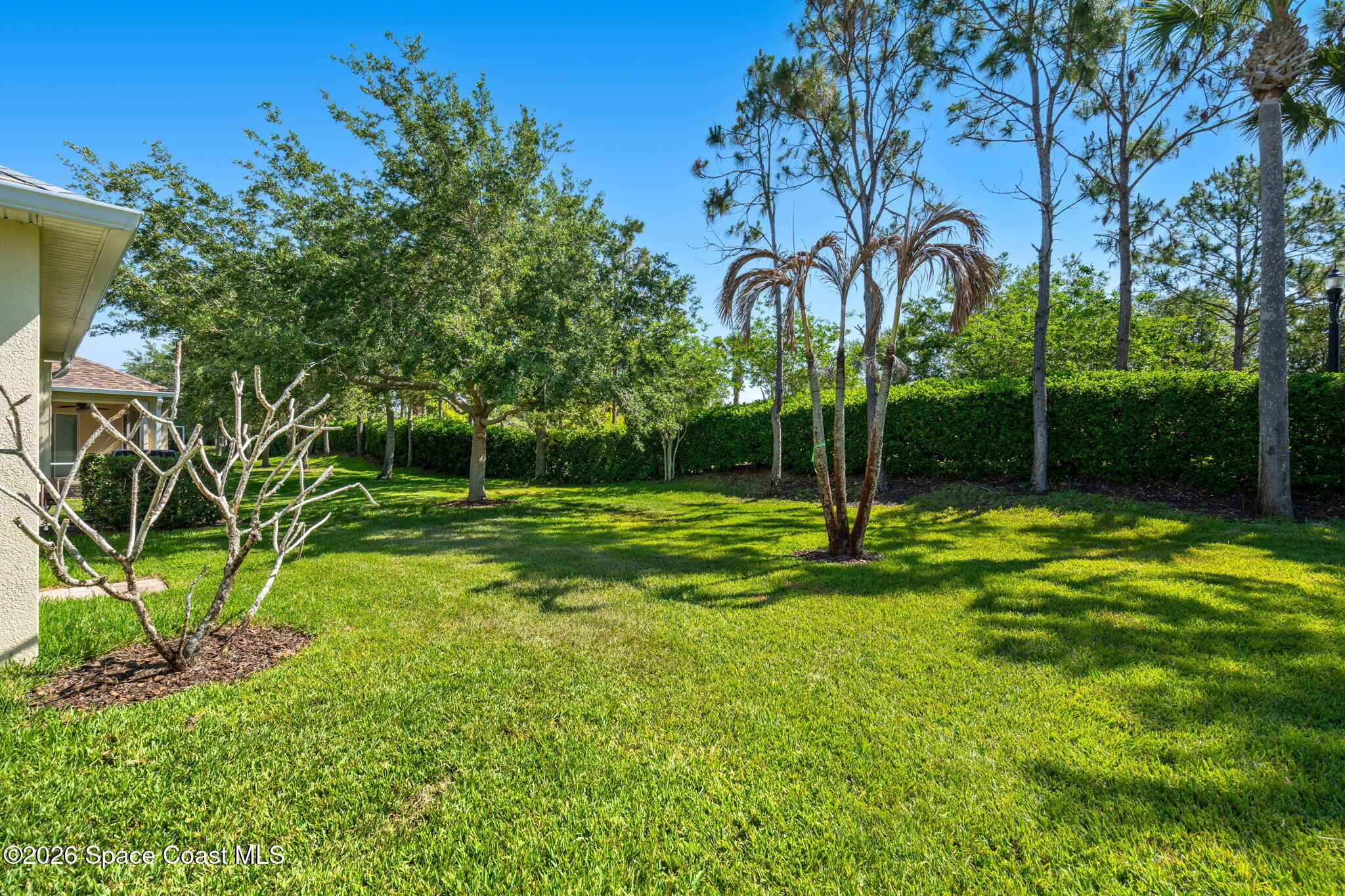 6651 Ringold Street Melbourne, FL 32940 - Photo 64 of 65 DSC03559