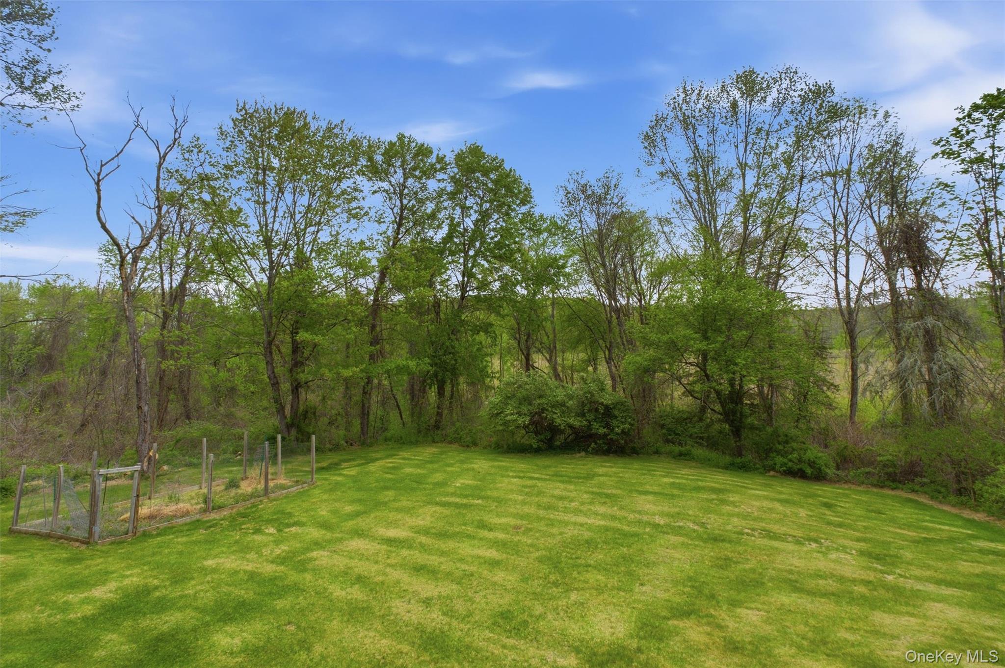 85 Ward Road Salt Point, NY 12578 - Photo 42 of 49 a view of a yard