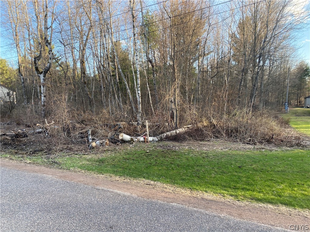 0 Jackson II Road Carthage, NY 13619 - Photo 1 of 1 Front Road