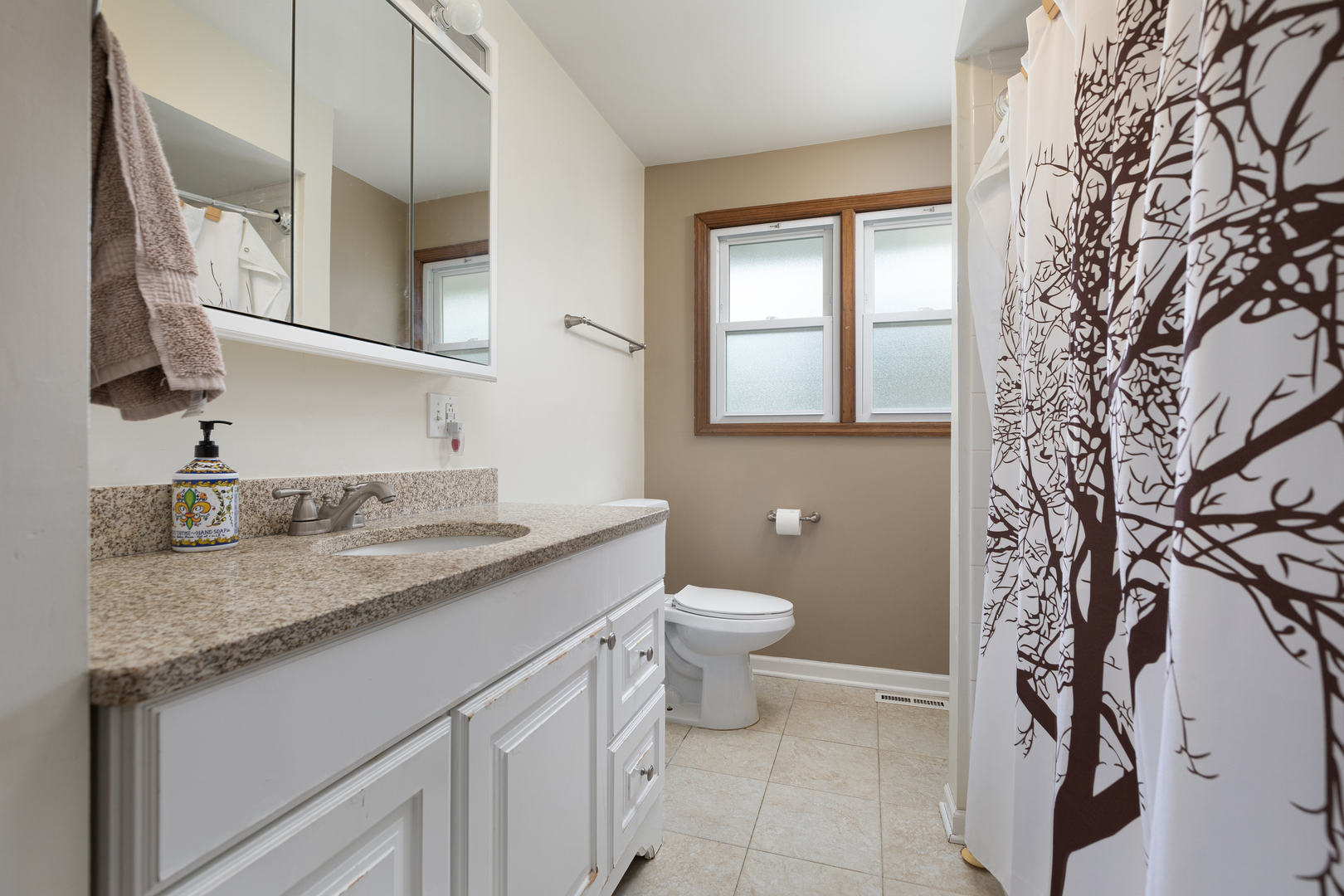 5740 Wolf Road Western Springs, IL 60558 - Photo 18 of 26 a bathroom with a granite countertop sink and a mirror
