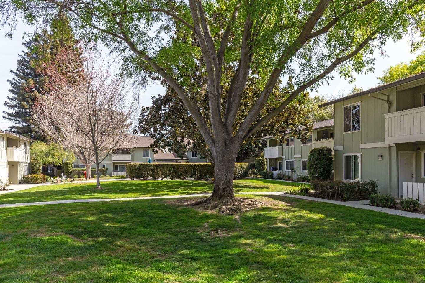 264 North Whisman Road, Unit 20 Mountain View, CA 94043 - Photo 15 of 18 Gallery Image 15