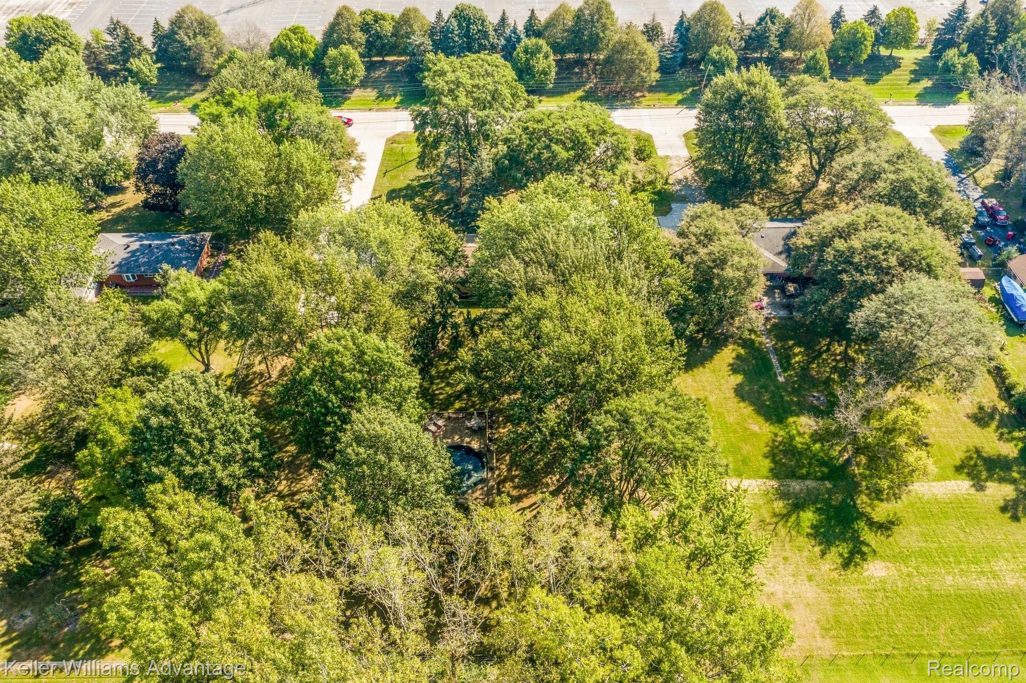 29260 Olmstead Road Flat Rock, MI 48134 - Photo 30 of 30 Aerial view (back yard)