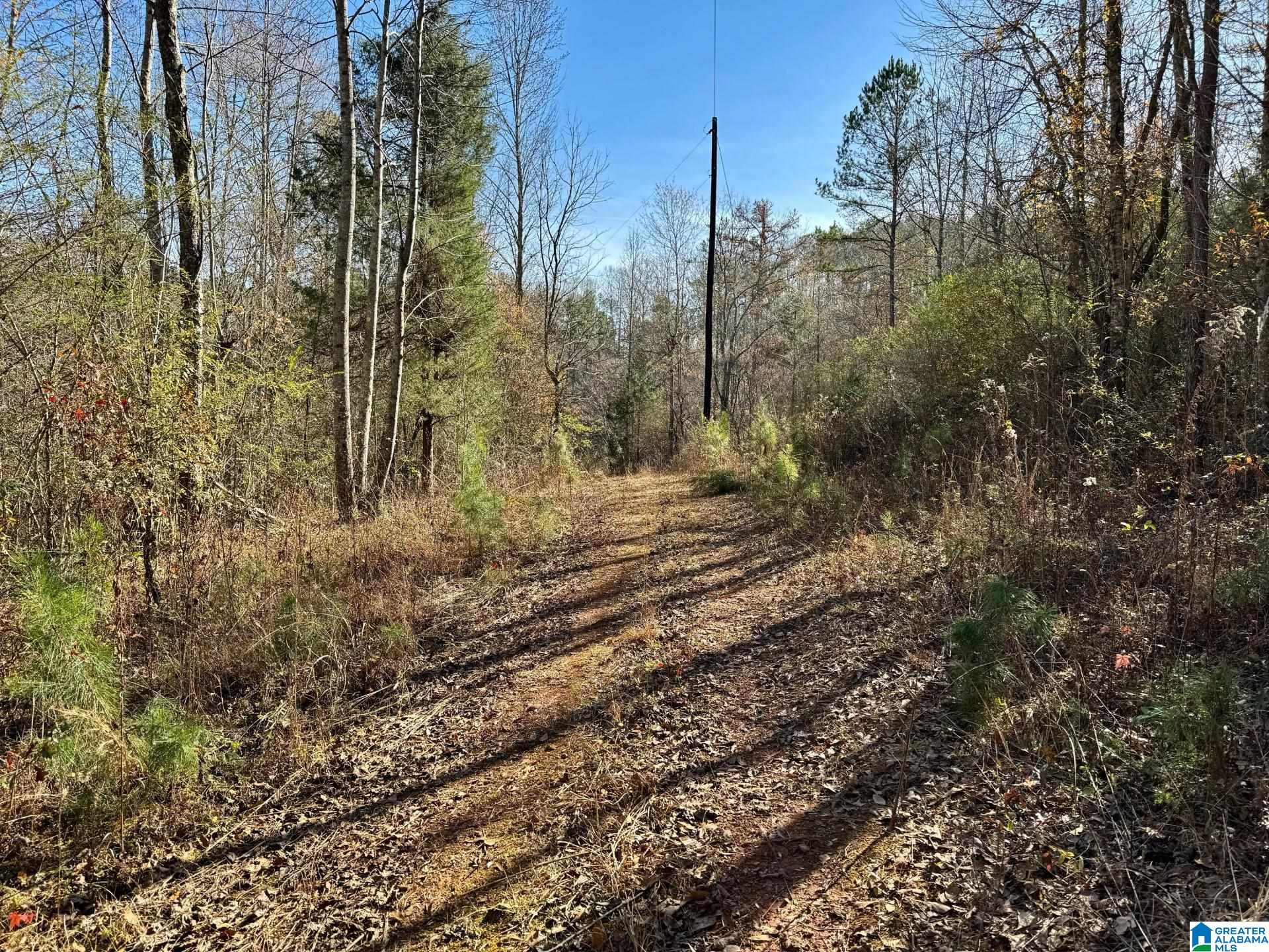 7 County Road Wedowee, AL 36278 - Photo 8 of 9