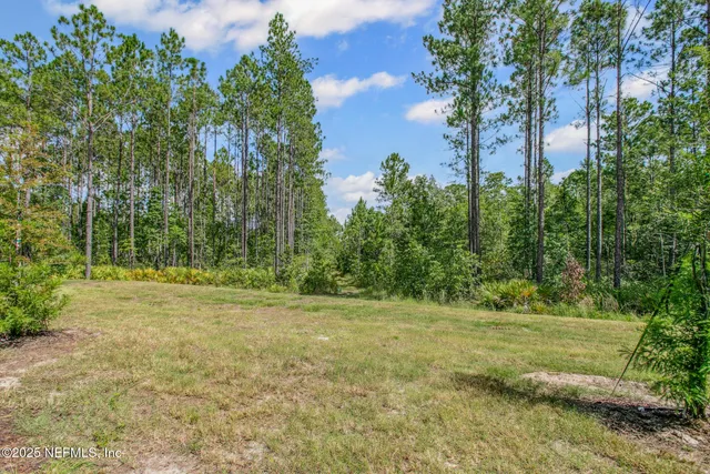 a view of a field with trees in the background