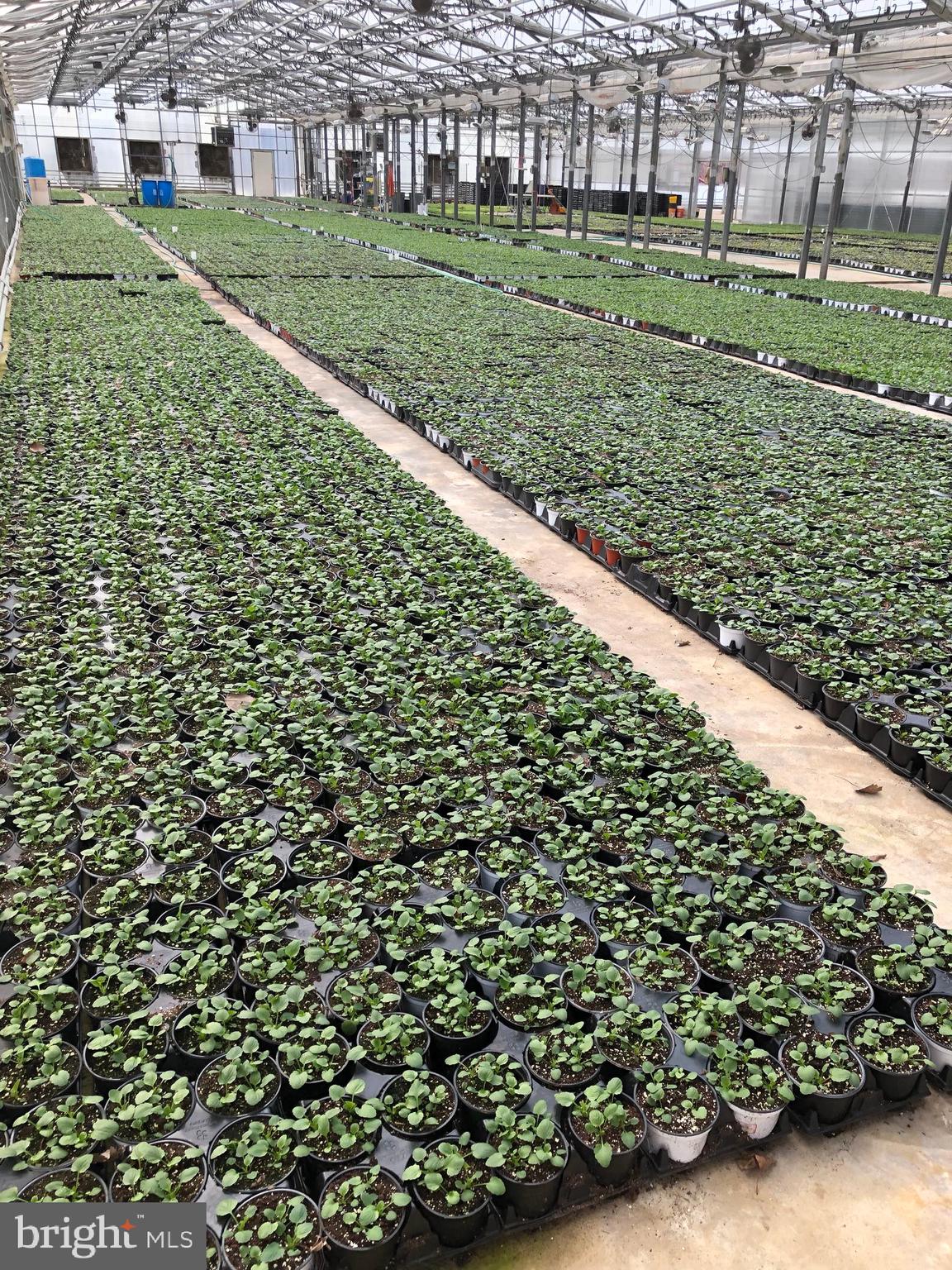 2730 Marker Road Middletown, MD 21769 - Photo 53 of 73