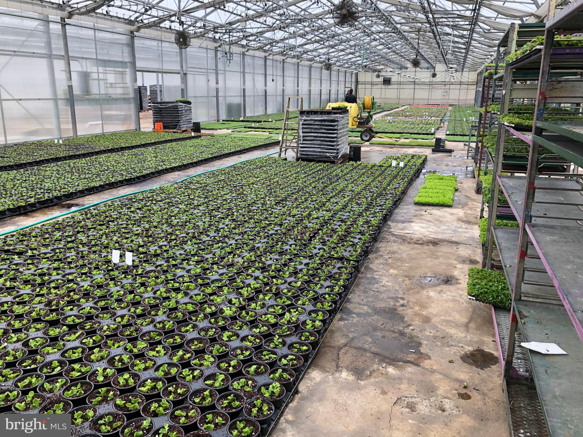 2730 Marker Road Middletown, MD 21769 - Photo 55 of 73 a view of yard with seating space