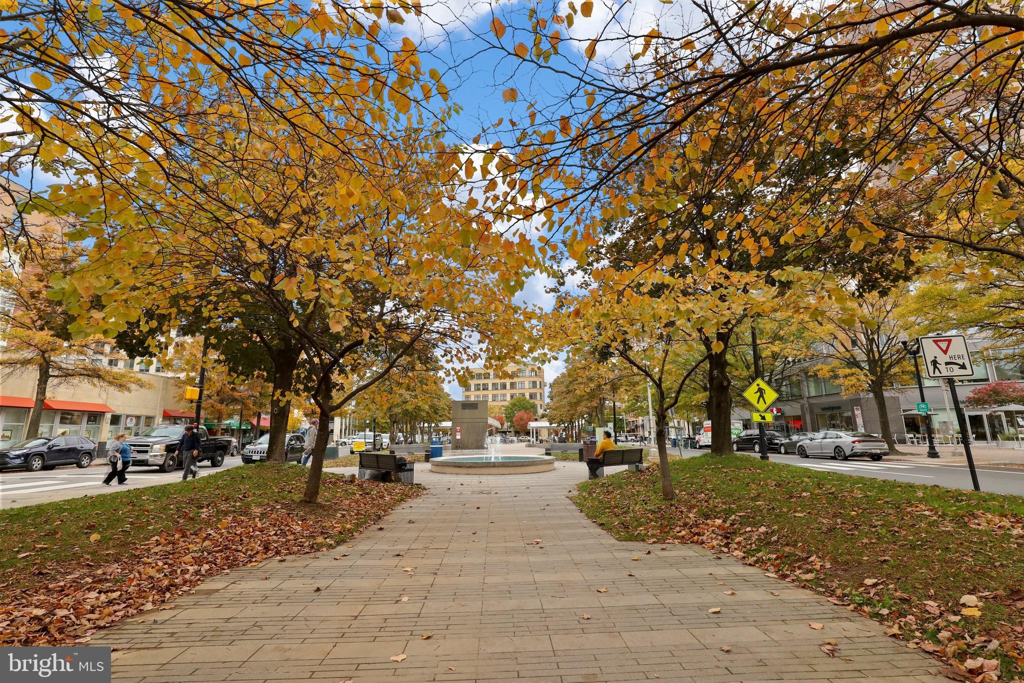 1802 Key Boulevard, Unit 9482 Arlington, VA 22201 - Photo 20 of 28 a view of street with trees