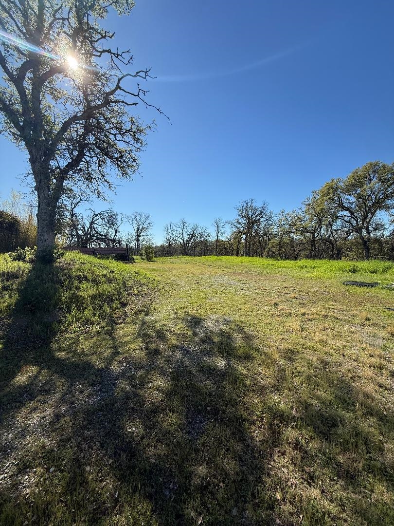 7131 Coyote Point Corning, CA 96021 - Photo 5 of 8