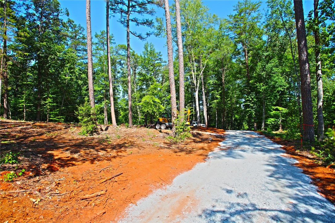 1359 Hbr Rdg Road Seneca, SC 29672 - Photo 15 of 39 Mature trees line this spacious lot, offering a private setting for future development.