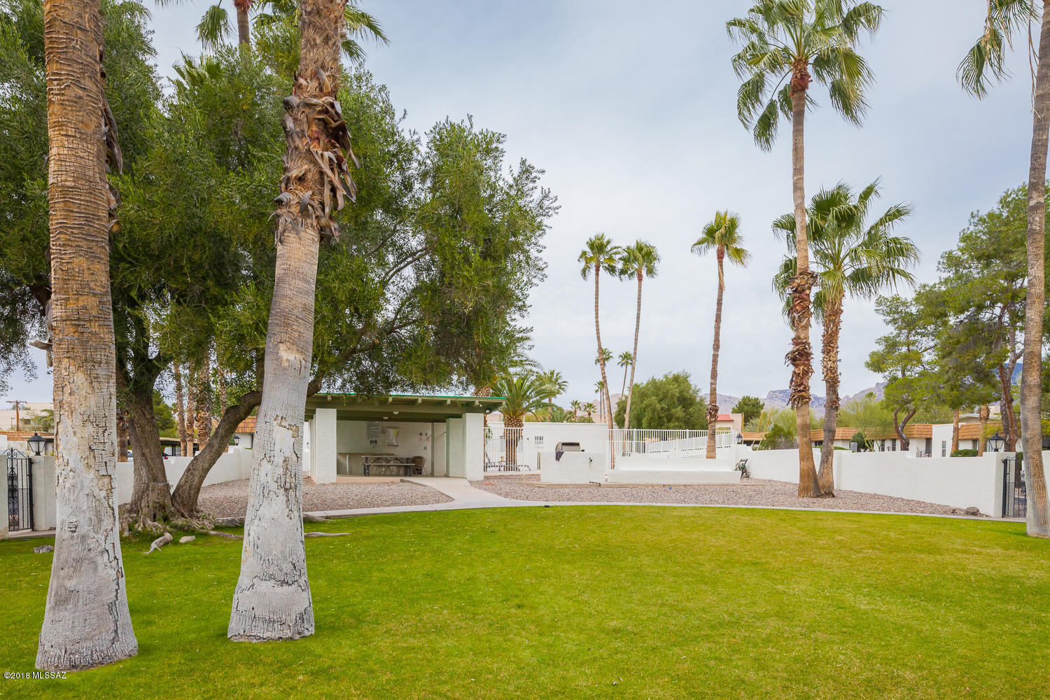 600 East River Road, Unit F Tucson, AZ 85704 - Photo 28 of 29