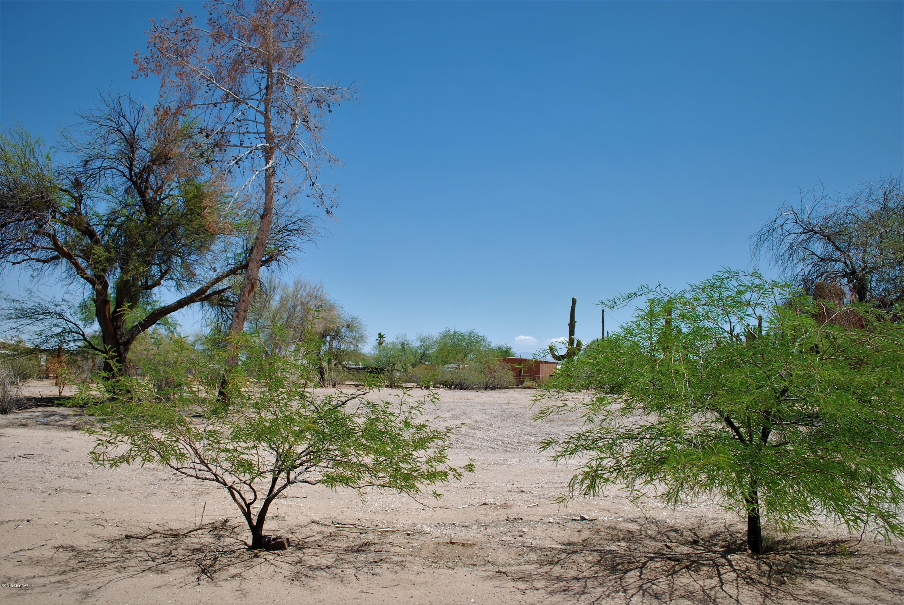 13054 West El Lobo Road Tucson, AZ 85743 - Photo 6 of 20 Gallery Image 6