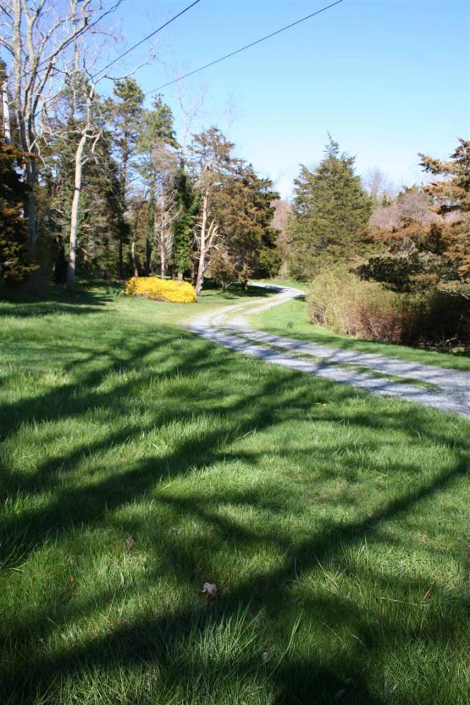 88 Pochet Road Orleans, MA 02653 - Photo 20 of 22 a view of building with trees