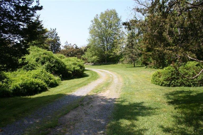 88 Pochet Road Orleans, MA 02653 - Photo 4 of 22 a view of a grassy area with trees all around