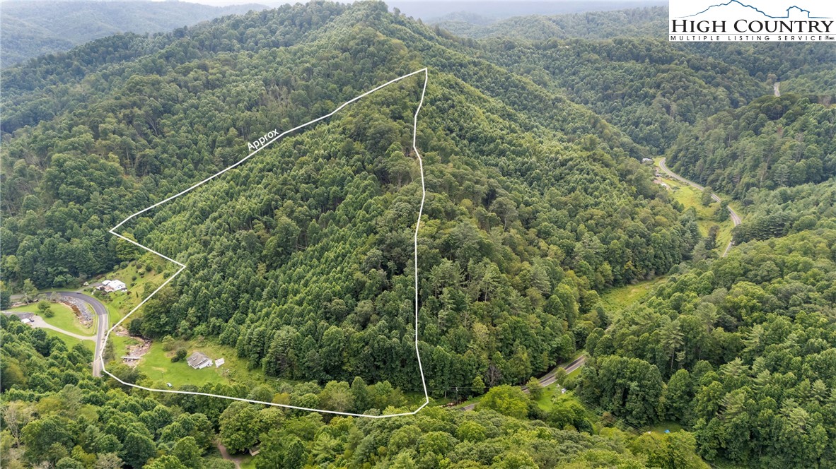 809 Roaring Fork Road Creston, NC 28615 - Photo 4 of 45