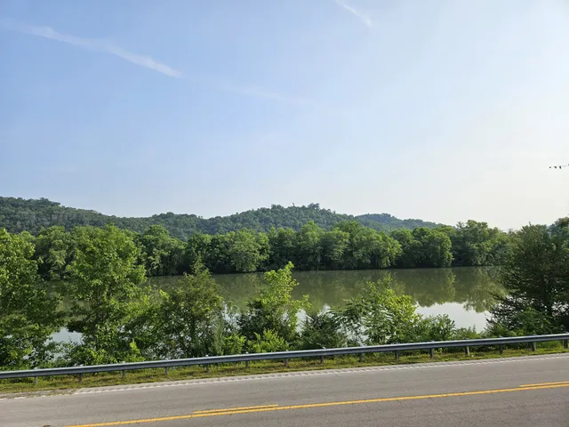a backyard of a house with plants and a garden