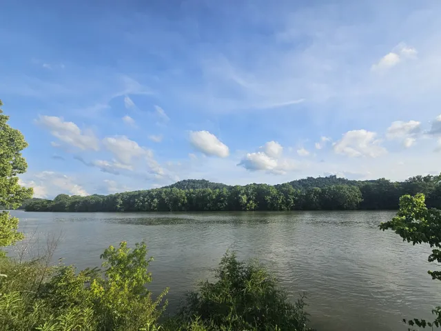 a view of a green yard with a lake view