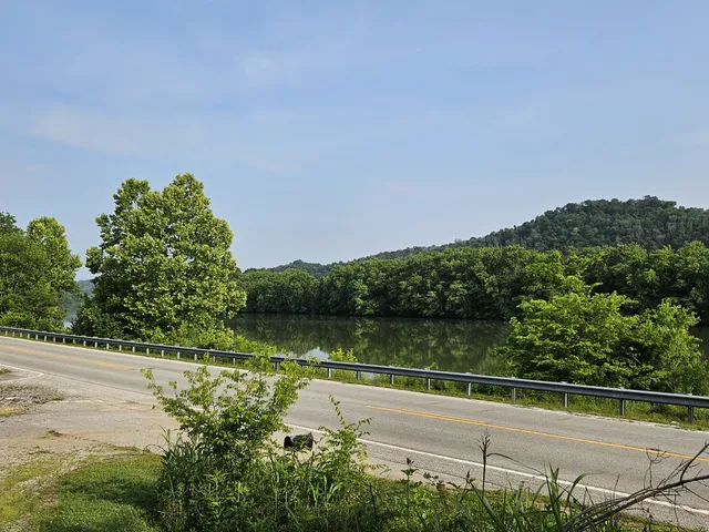 a view of a grassy field with trees