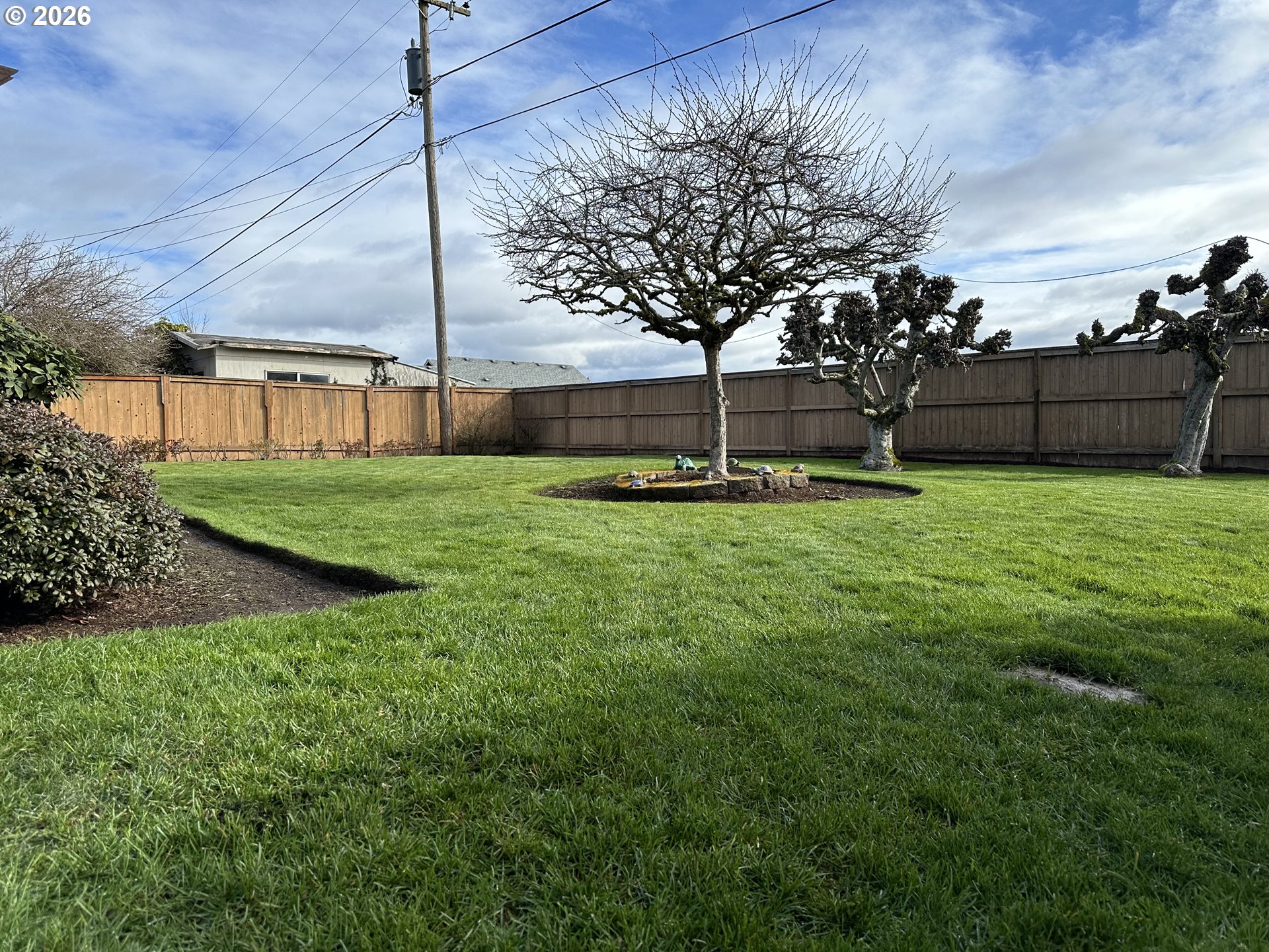 1091 Longridge Drive Springfield, OR 97478 - Photo 19 of 21 a view of a park
