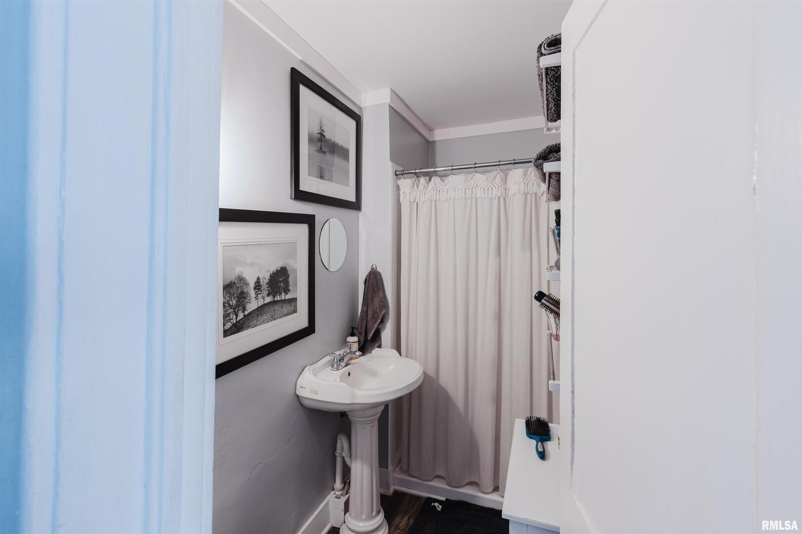 209 North Springer Street Carbondale, IL 62901 - Photo 26 of 30 a bathroom with a sink and a mirror