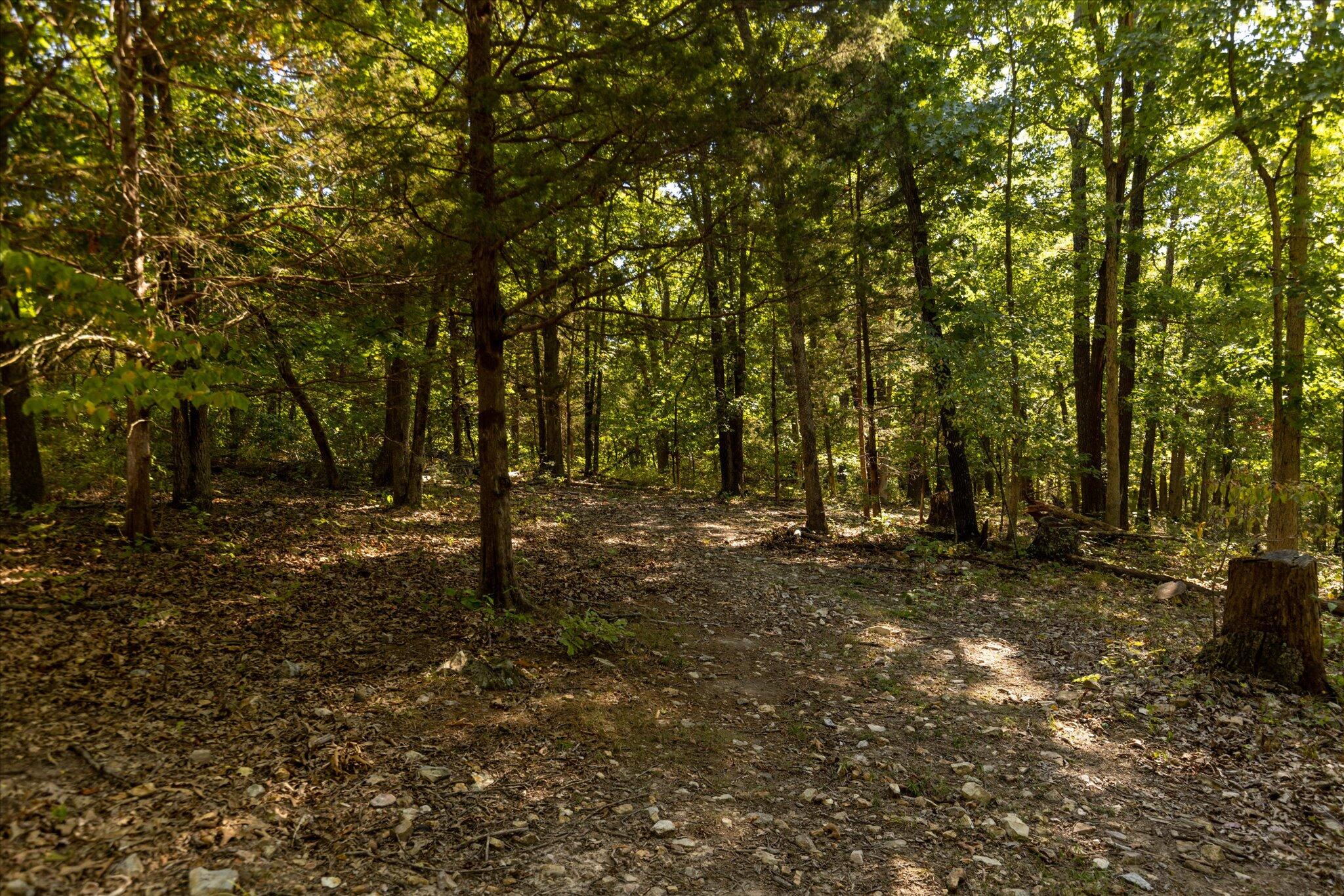 0 Watts Road Rogersville, MO 65742 - Photo 20 of 51 20-HT9A5648