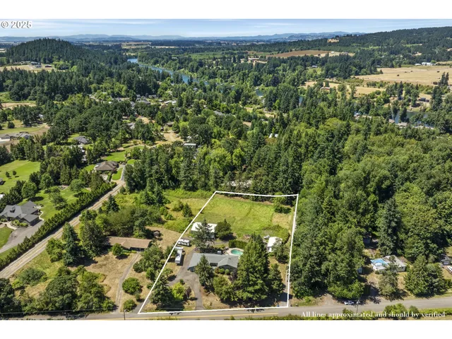a view of a forest with a mountain