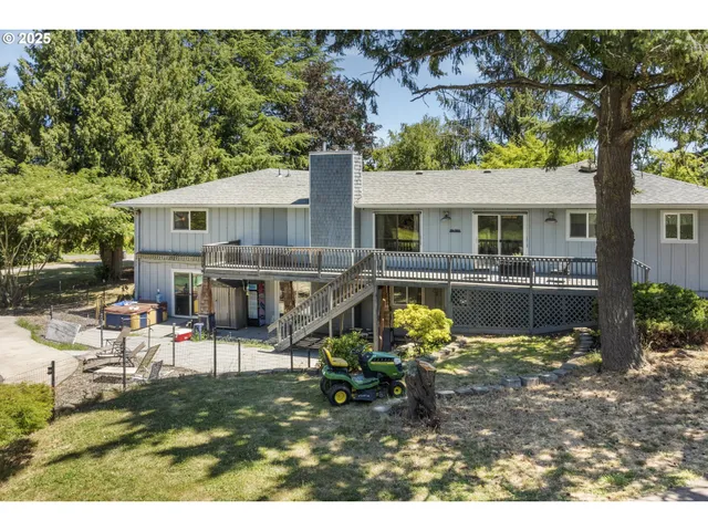 a view of a large tree