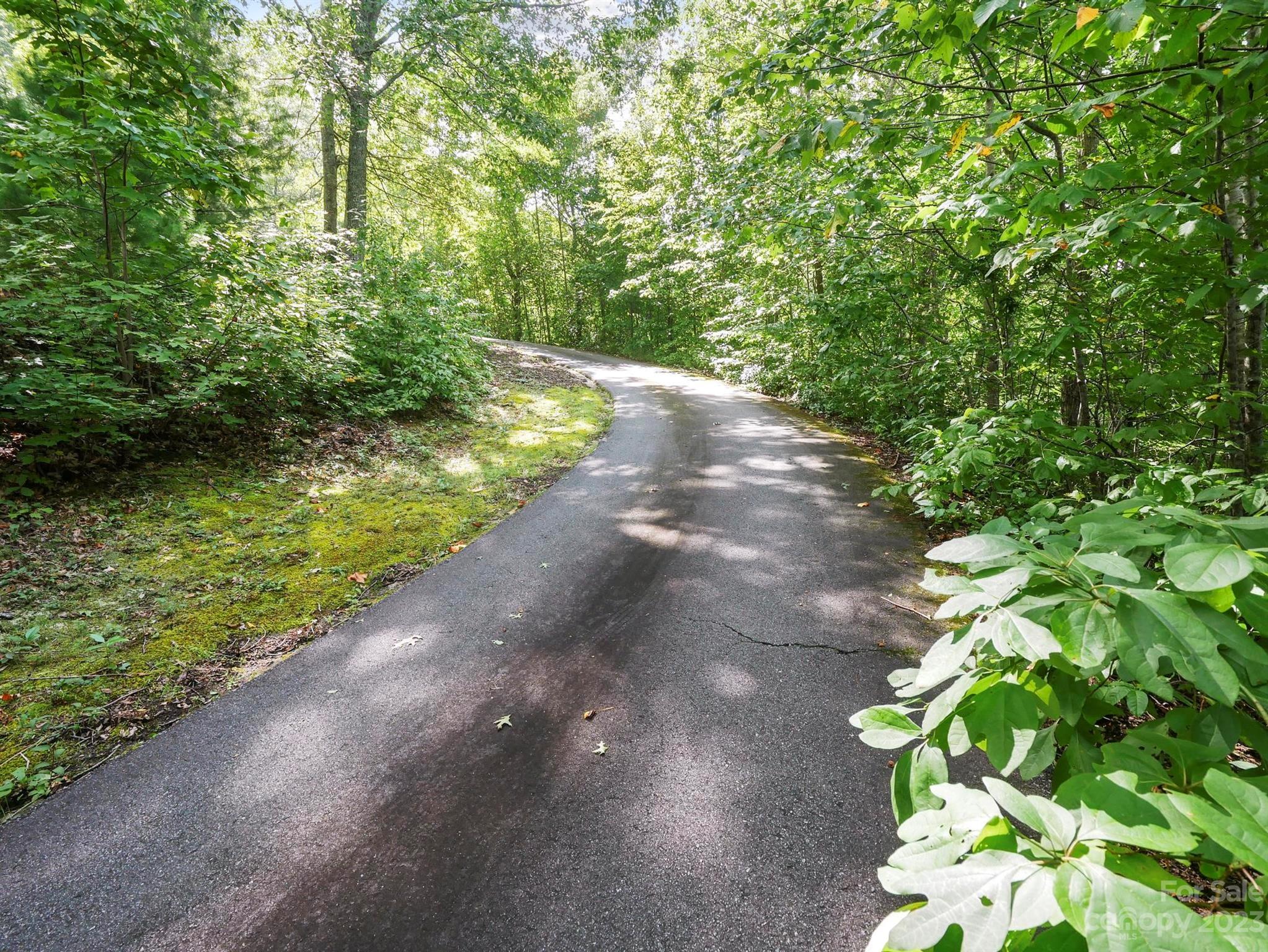 25 Falcon Crest Drive Fairview, NC 28730 - Photo 38 of 41 a view of a street with a trees