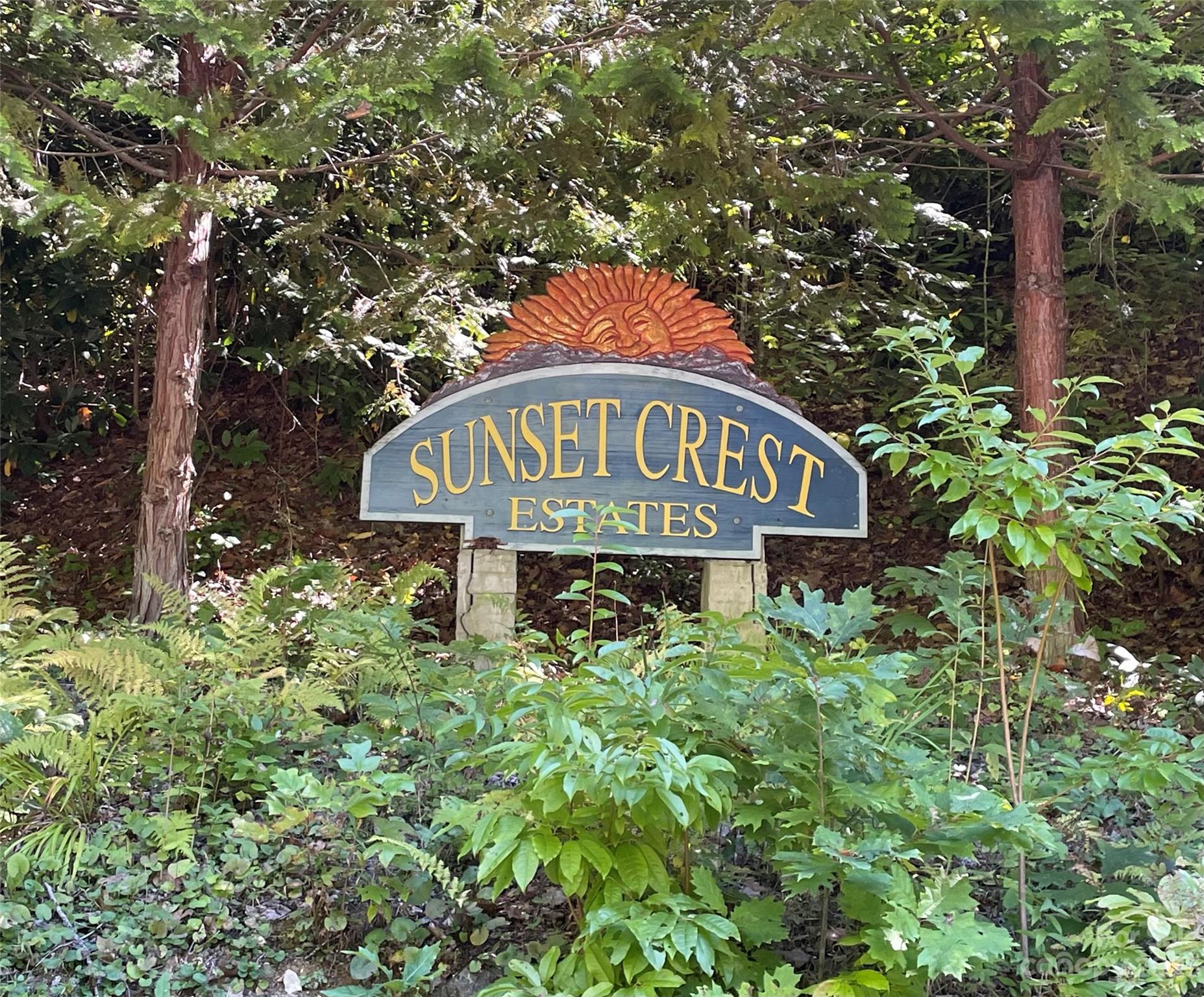 25 Falcon Crest Drive Fairview, NC 28730 - Photo 41 of 41 a sign that is sitting on a pole