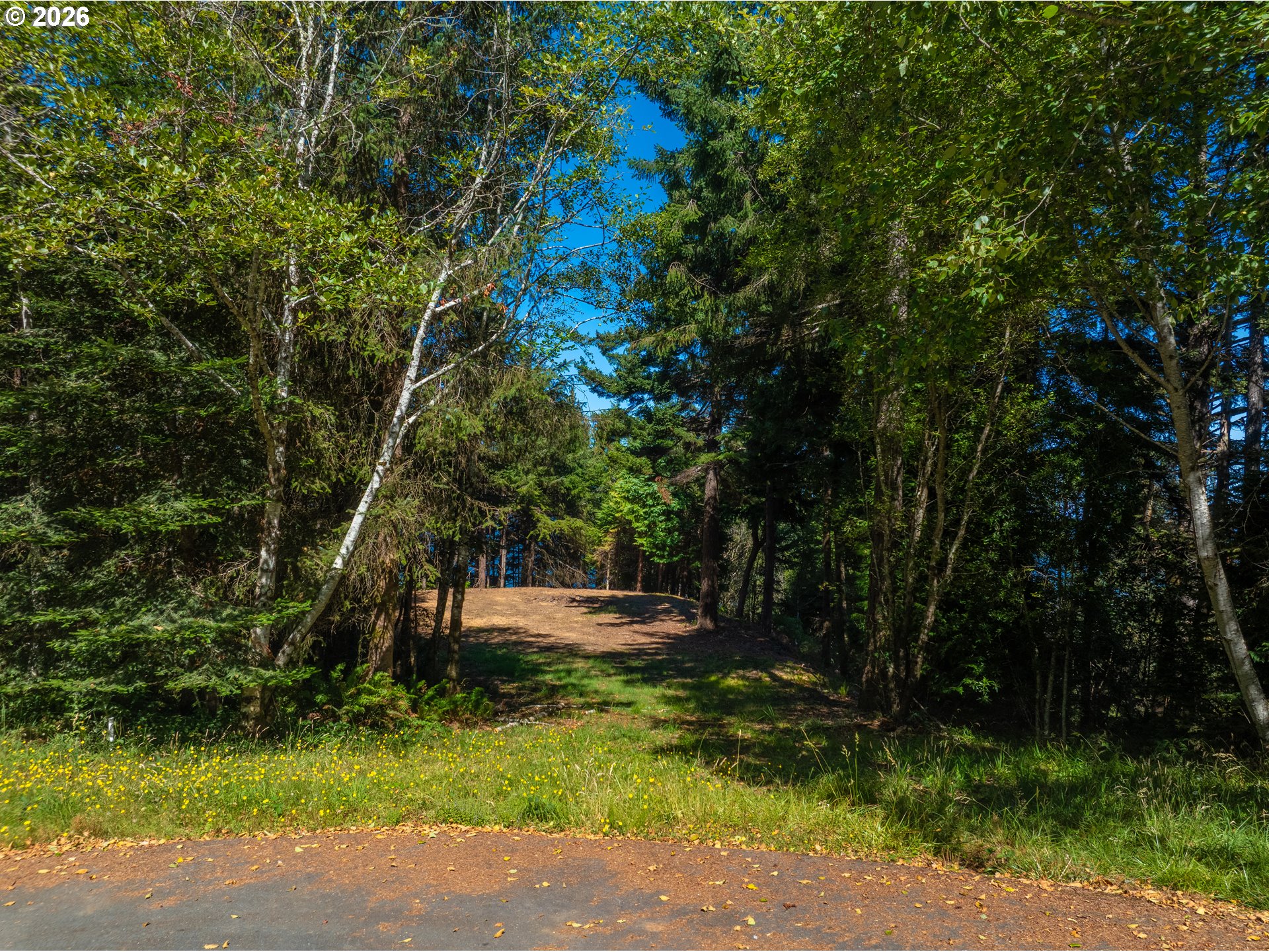 Starkweather Road, Unit 101 Gold Beach, OR 97444 - Photo 6 of 12 Gallery Image 6